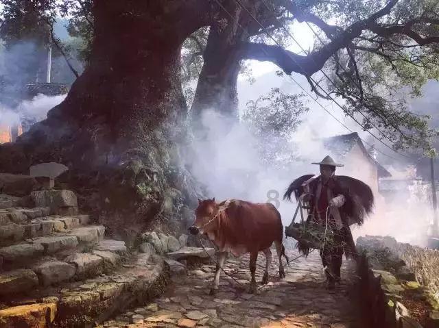 探秘患有桥本病,会遗传吗?,解锁更多有趣问题答案